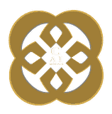 Custom AI Models